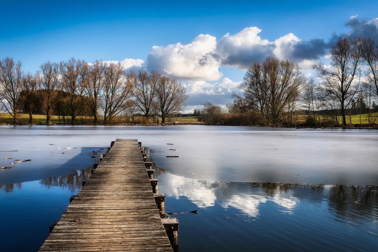 trees, lake, pond-6982438.jpg