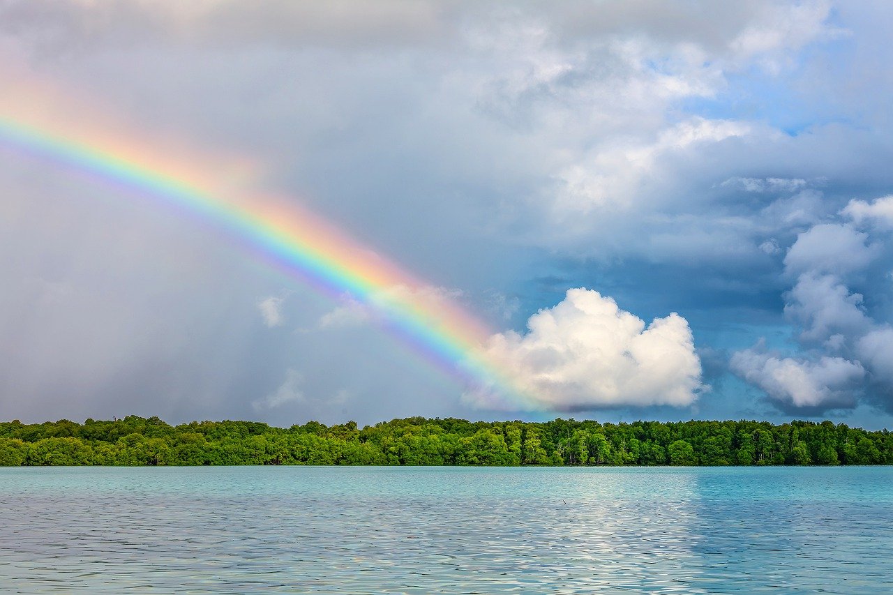 landscape, rainbow, tropical-7373484.jpg