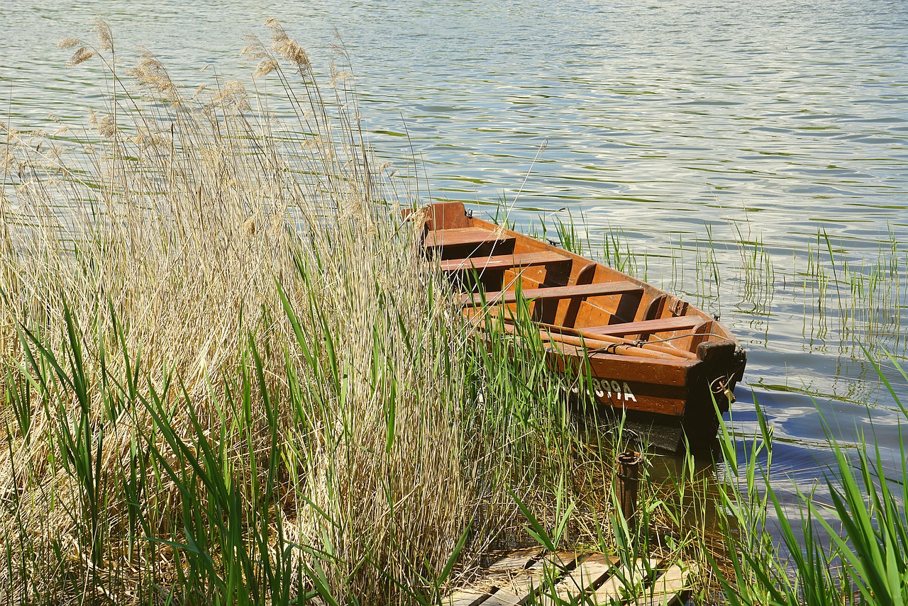 rowboat, lake, lodz-7412562.jpg