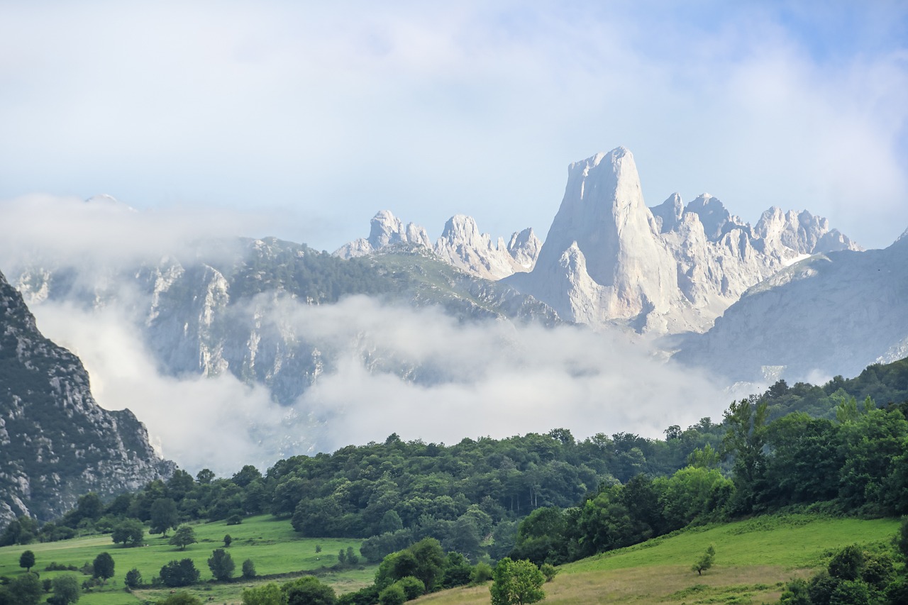 landscape, mountain, fog-7485033.jpg