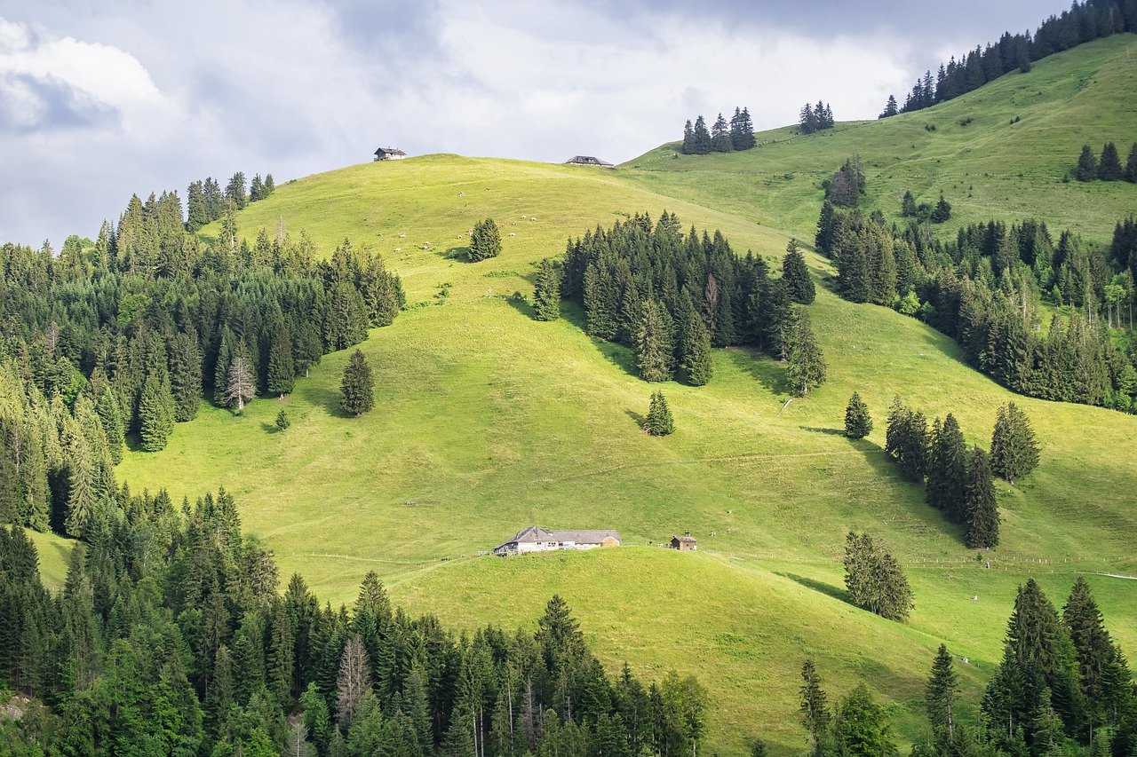 mountain, cabin, meadows-7530152.jpg