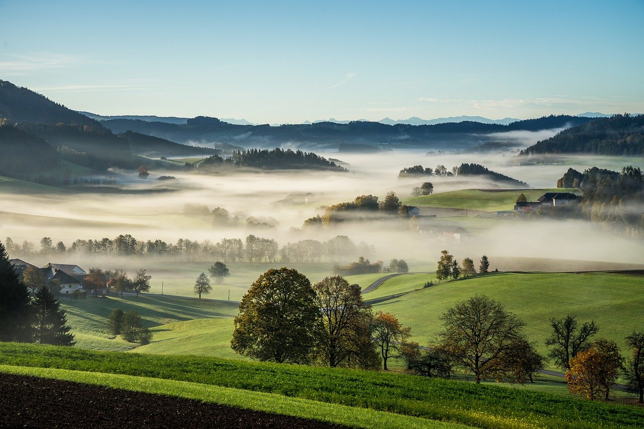 mühlviertel, rural, fog-7544316.jpg