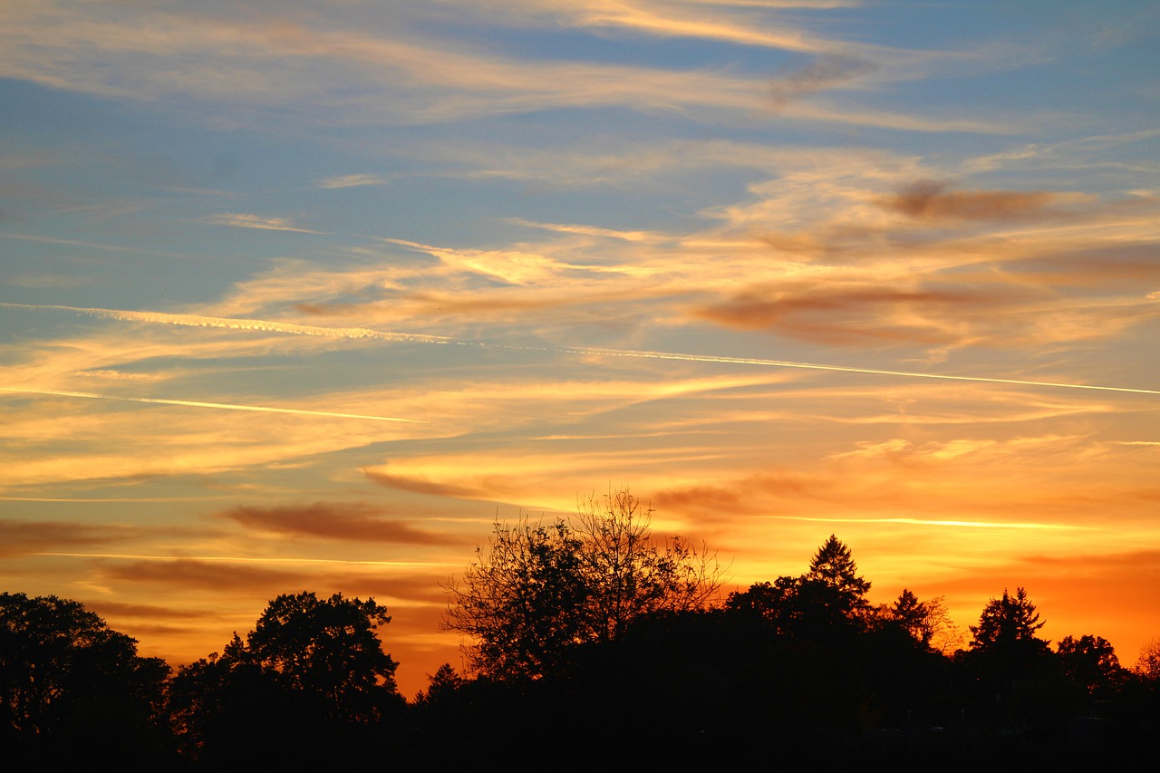 sunset, dusk, trees-7525645.jpg