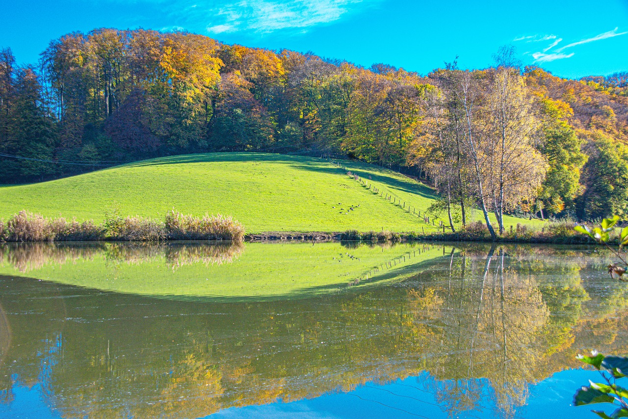 blue sky, blue lake, green meadow-7598846.jpg