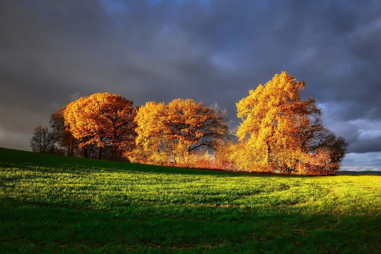 landscape, nature, fall-7603007.jpg