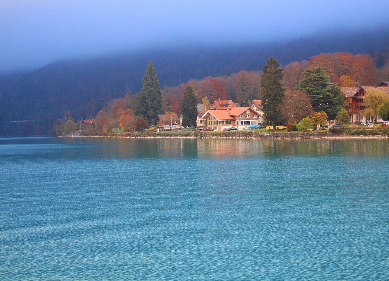 village, fog, trees-7589055.jpg