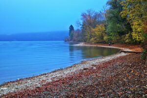 bay, fall, lake thun-7662265.jpg