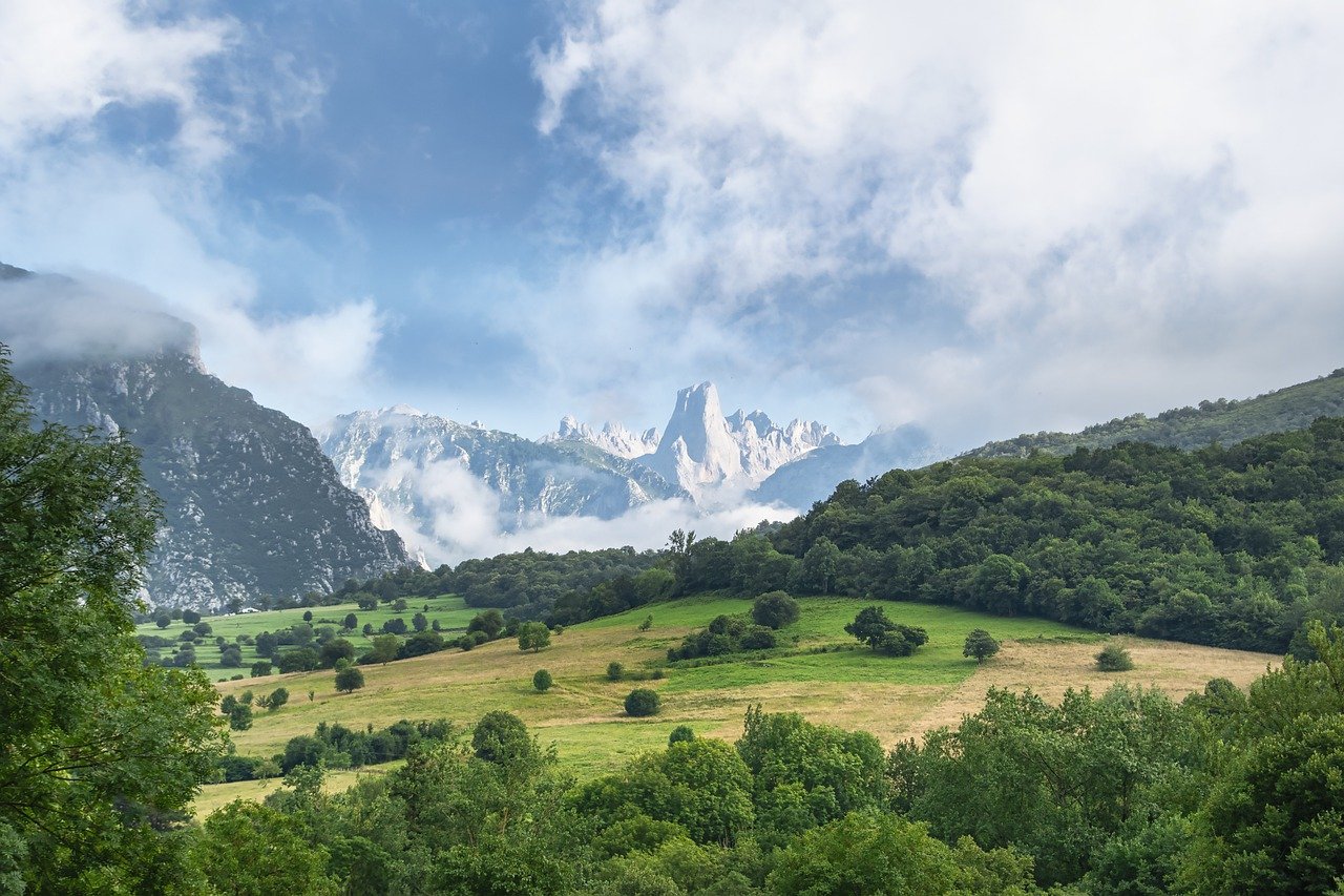 landscape, moutnains, meadow-7665765.jpg