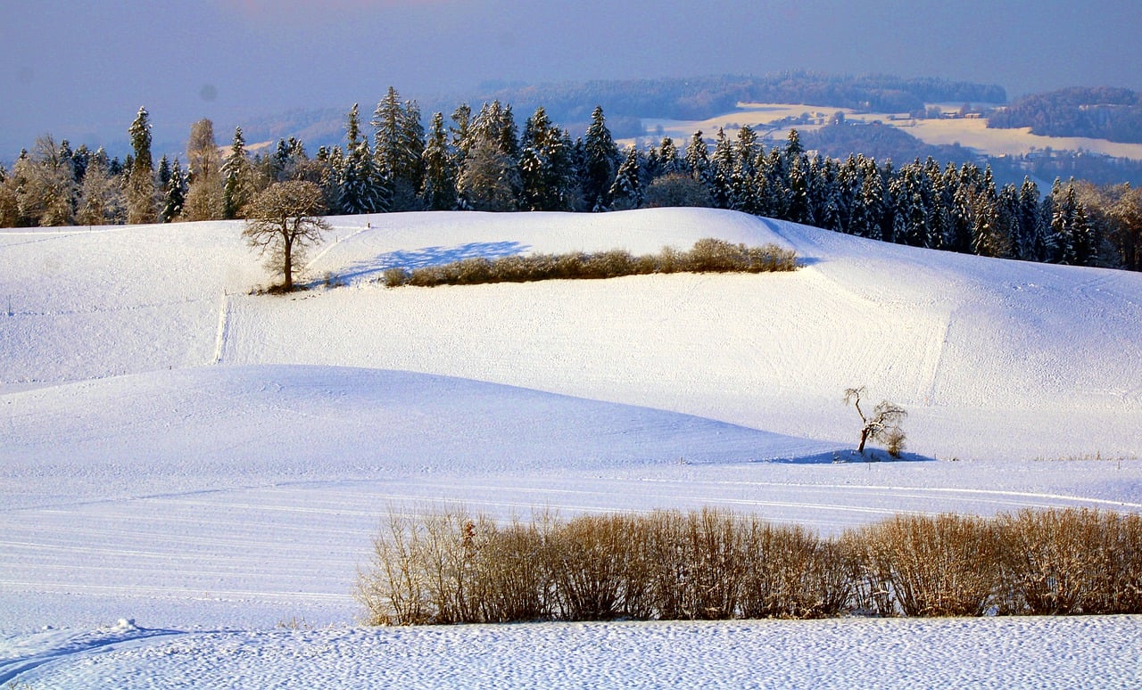 winter landscape, snow, field-7651939.jpg