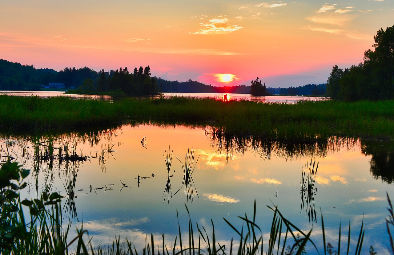 marsh, lake, wetland-7697706.jpg