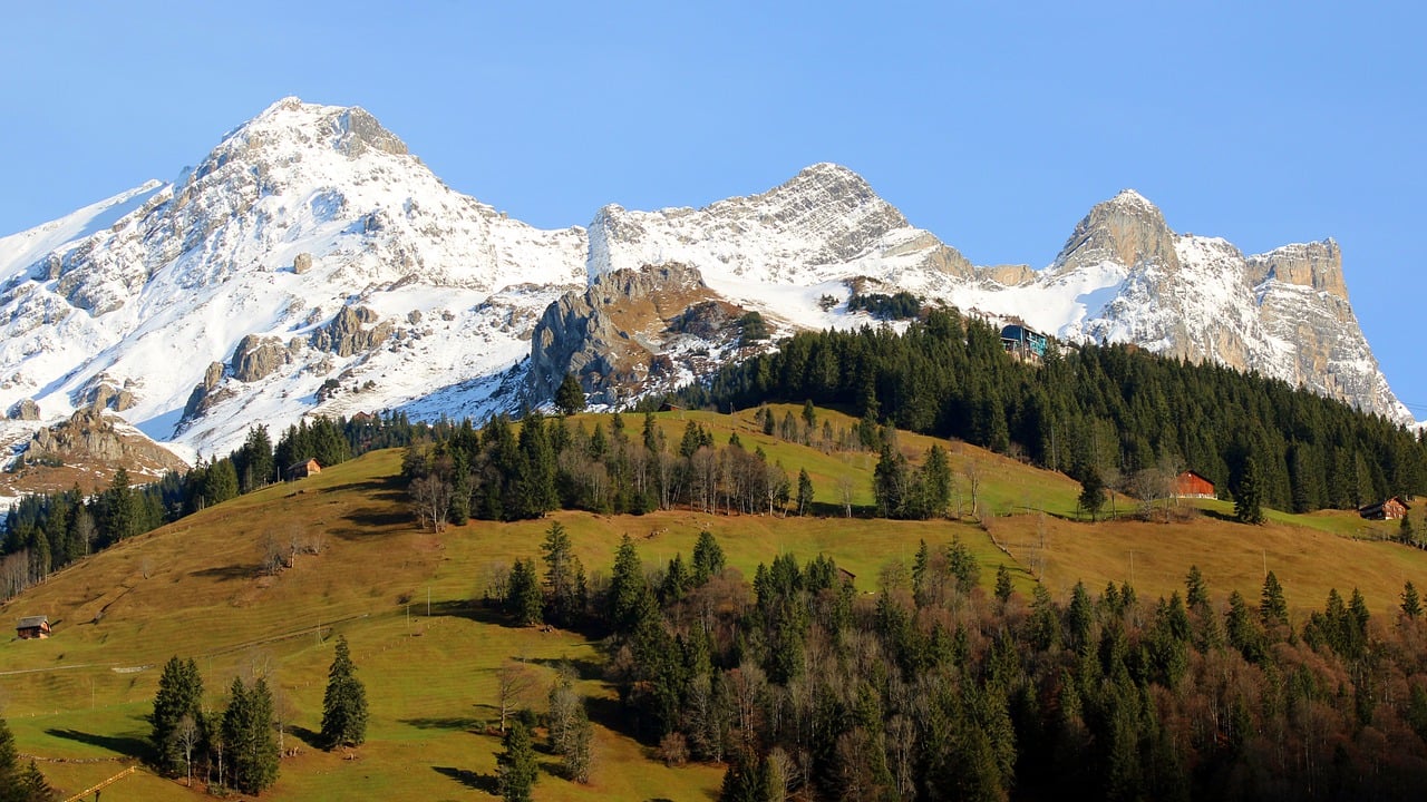 mountains, trees, engelberg-7689622.jpg