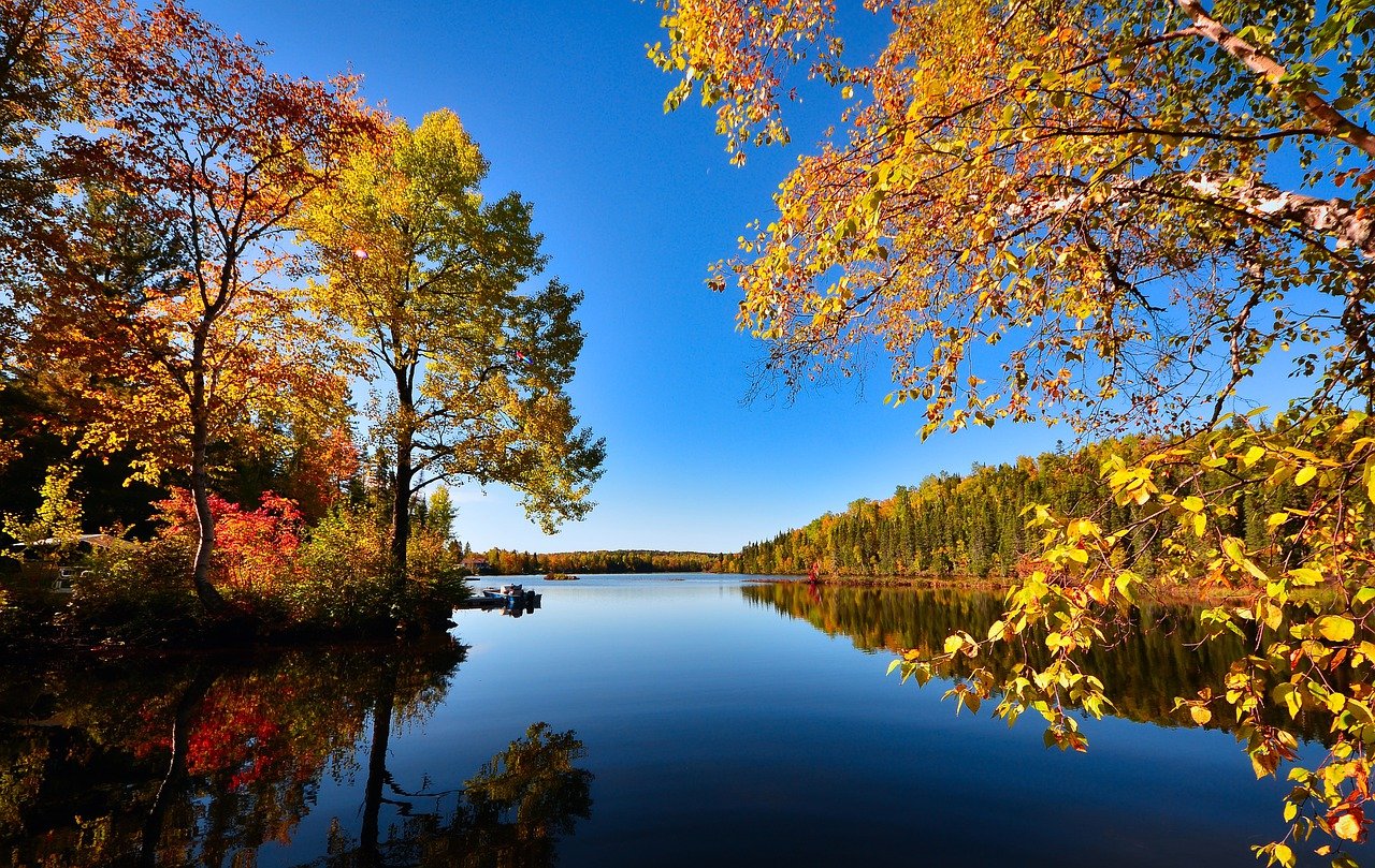 trees, lake, forest-7704294.jpg