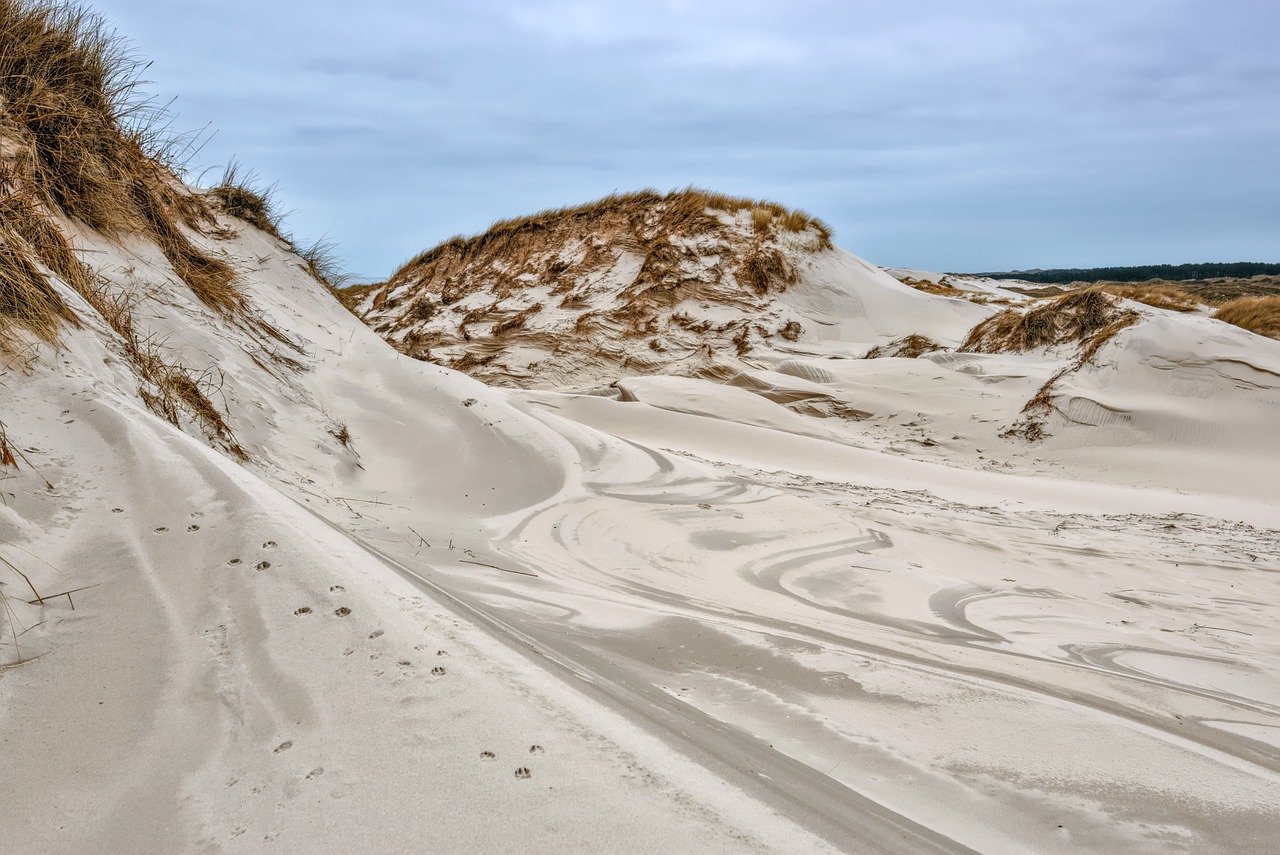 sand dunes, dune landscape, sand-7825545.jpg