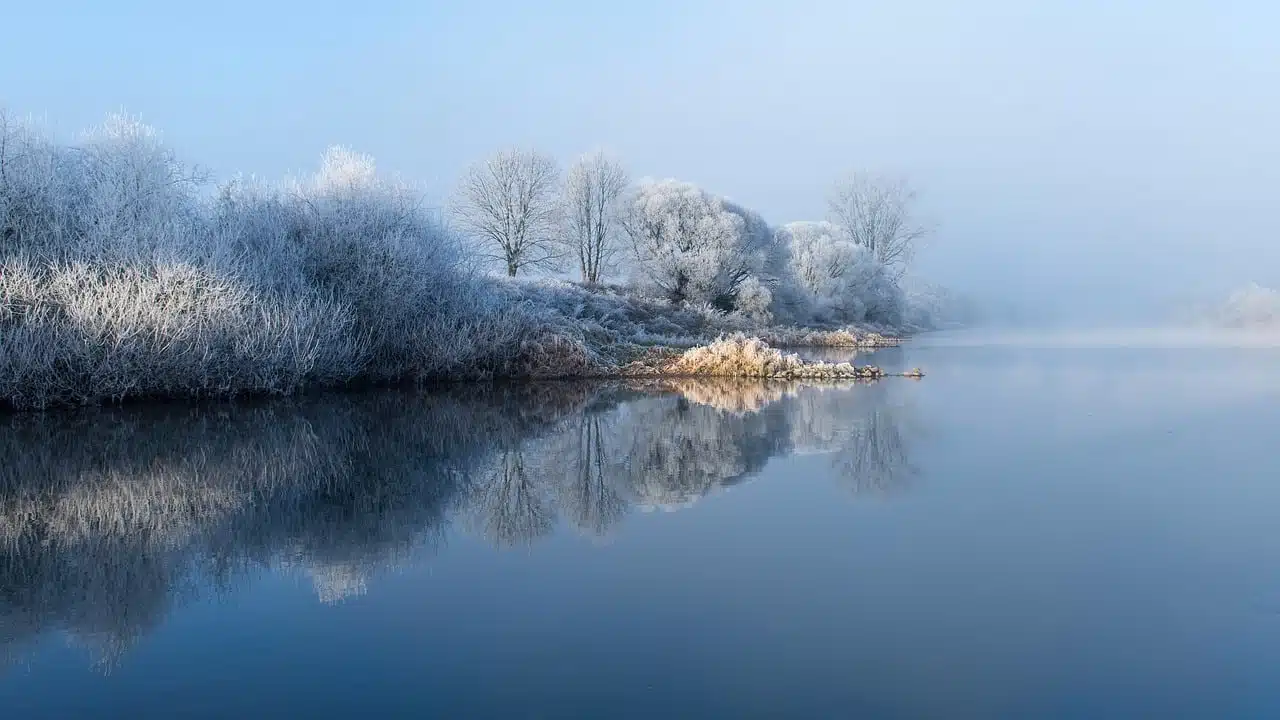 lake, trees, snow-8499701.jpg